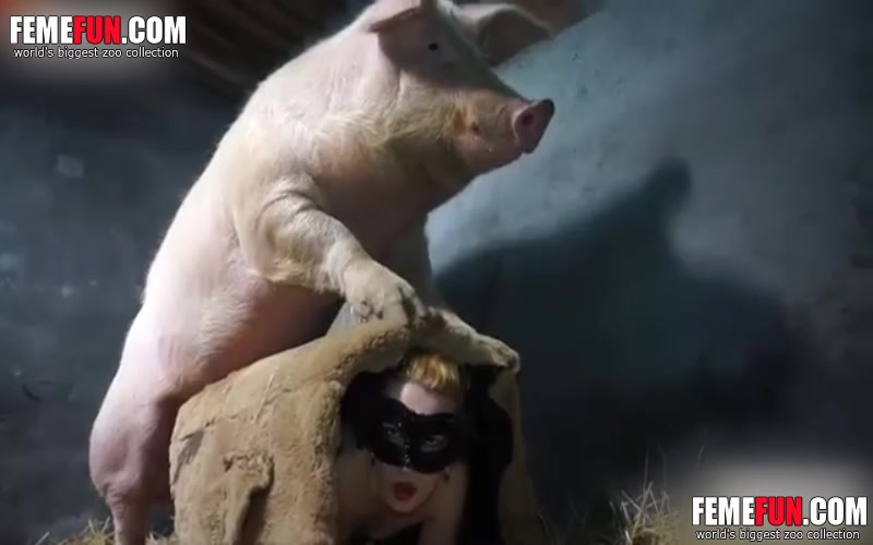 Sexy slut explores her wild side as she lets a pig fuck her ...