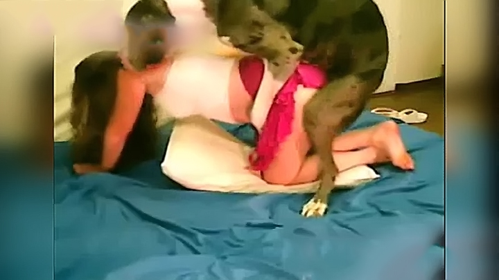 Xxxx Hot Dog Girl - Bestiality girl drilled by dog without taking clothes off in XXX porn - XXX  FemeFun