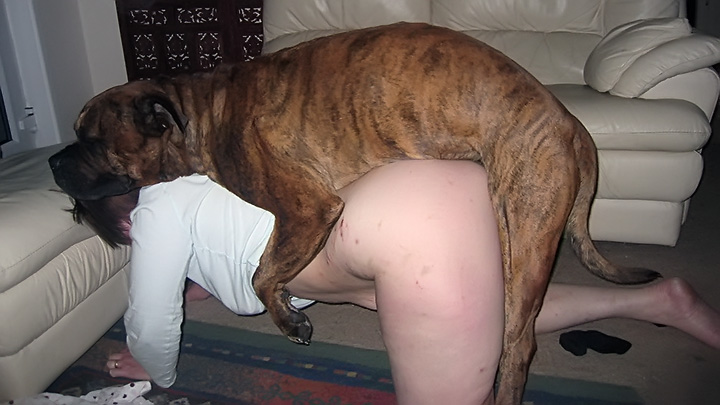 Hot MILF caught cheating by her husband's dog