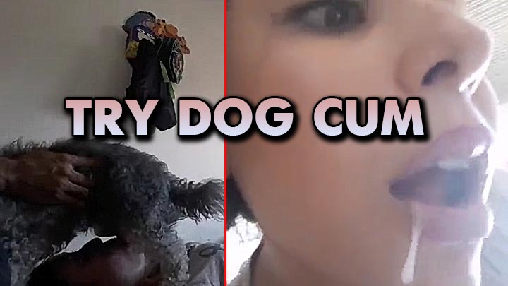 Dog cock sucking 