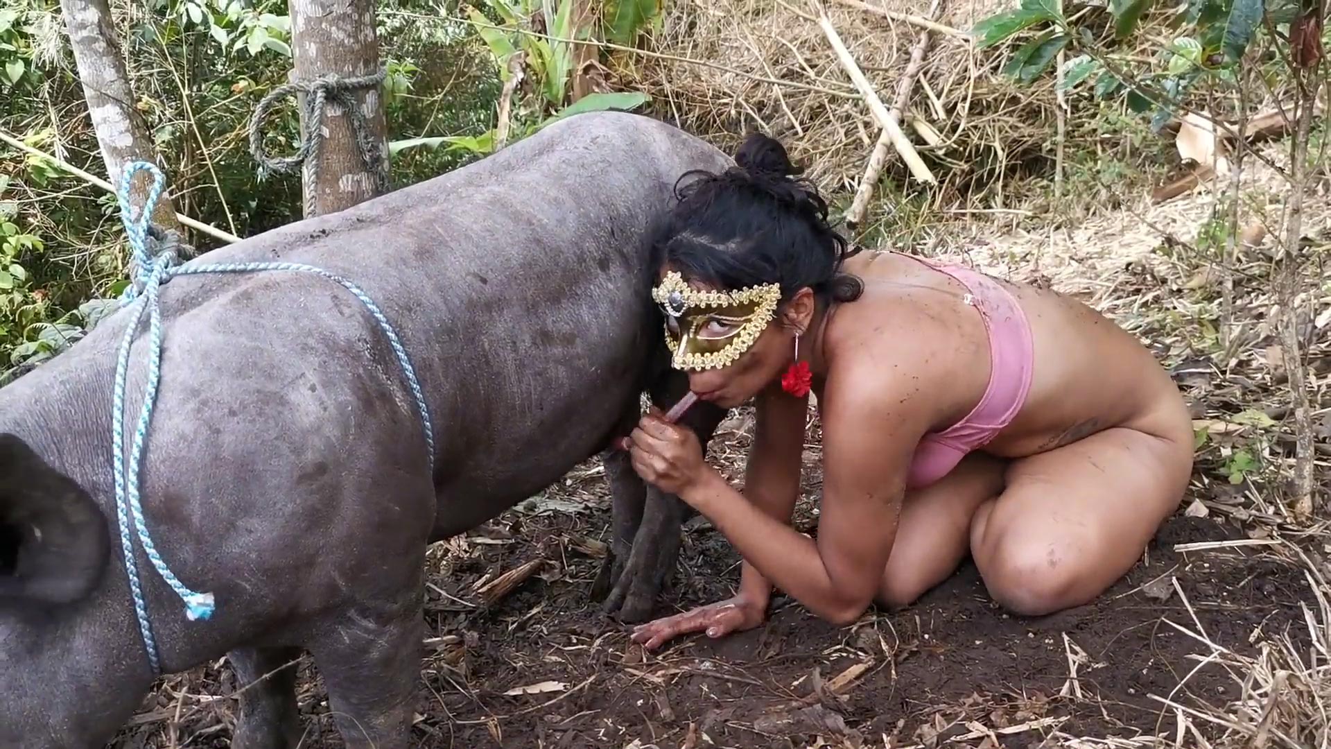 Beast woman fuck pig dick