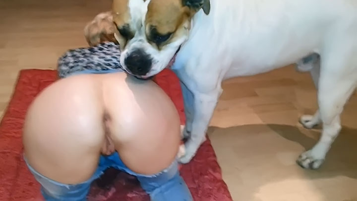 Beastiality sex - Dog enjoys licking whore s picture