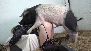 Xxx Ion News Video - Pig Extreme Sex Videos