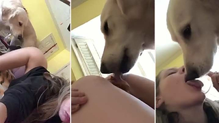 wife caught letting the dog lick her asshole HD Free Porn Movies - 919