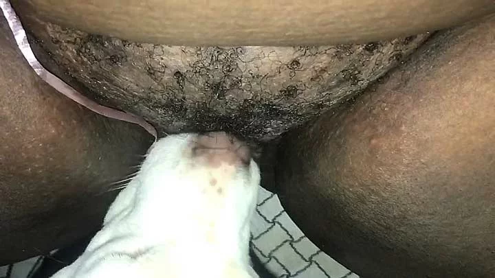 Squirting vagina porn