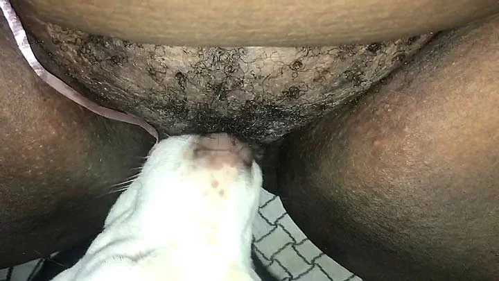 My Dog Licks Me Out While I Fuck Myself With A Hammer XXX FemeFun