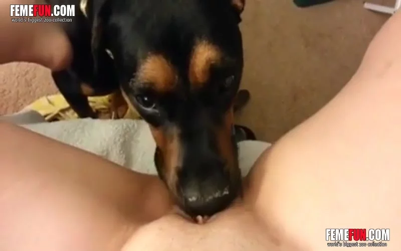 XXX POV Movie Featuring A Housewife Being Pleasured By A Dog XXX FemeFun