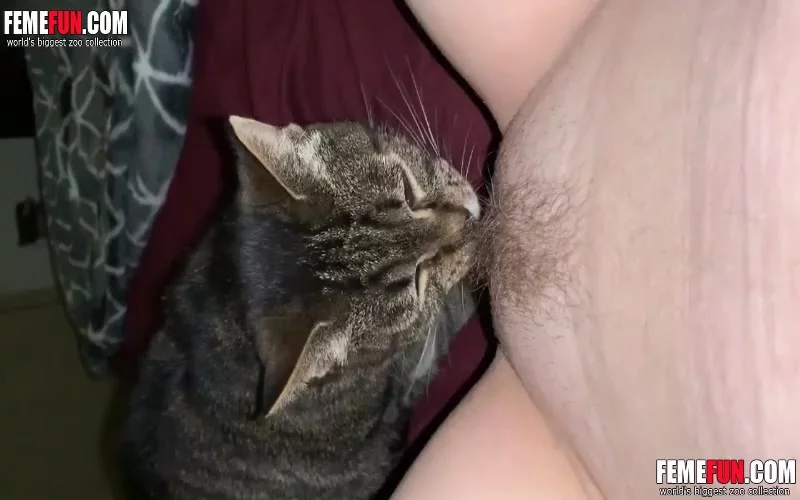 girls pussy licks Cat