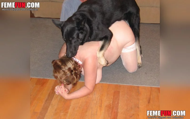 Big Black Dog Fucks Her Plump Mistress With Bestiality Kink Xxx Femefun ... photo