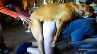 Blowjob mom son ] Diligent mother takes his towering cock all the ...