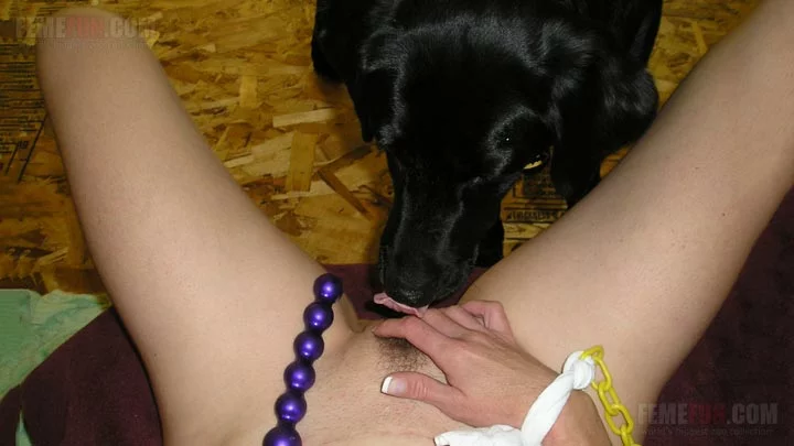 Horny Dog Fucks Young Bitchs XXX Cavity From Behind After Lick XXX