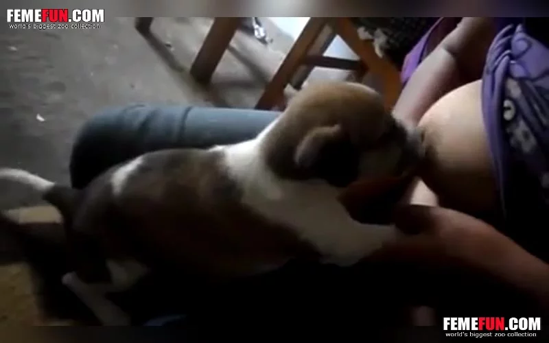 Adorable Young Dog Carefully Licks Hard XXX Nipple Of Amateur Mom XXX