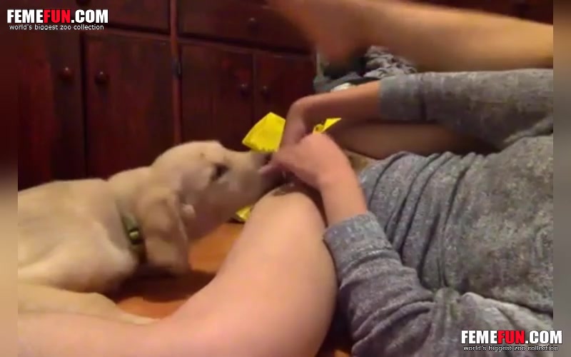 Mothersday Footjob Best Dog Licking Girl Pussy Porn Videos