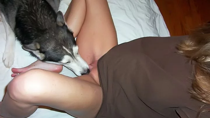 During Fun With Big XXX Toy Mom Permits Dog To Lick Her Wet Vagina