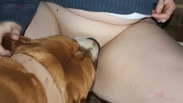 Pussy Dog Suckling - Dog licks mom's sweet XXX pussy before shoving hard penis into it - XXX  FemeFun