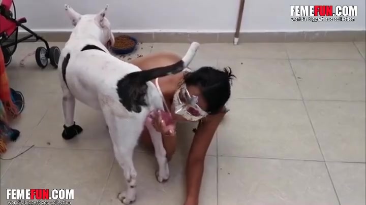 Animal Suking Aend Sex Woman Nippal - White dog permits exotic mom to suck XXX dick and take it into twat - XXX  FemeFun