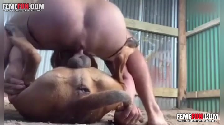 Dog fucked by 