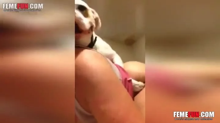 Modest amateur wife moans for big dog  pic