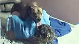 Whorish wife loves to blow her dog's red dick on webcam