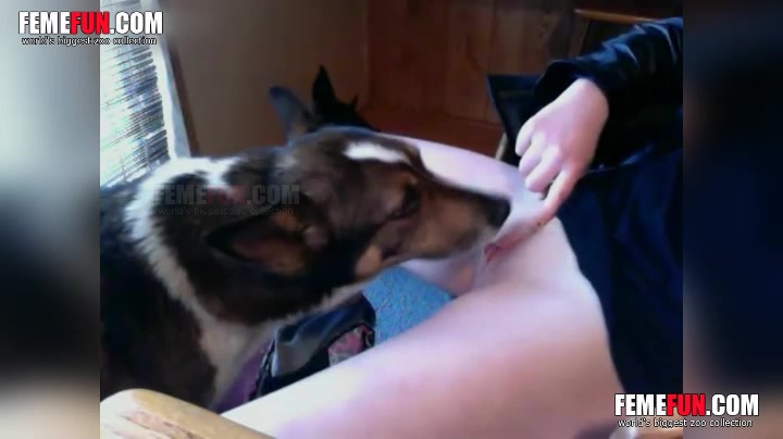 Whitney Wisconsin Teen Getting Licked By Dog