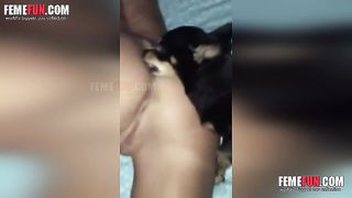 Tiny girl gets her clit and asshole licked by her happy pooch
