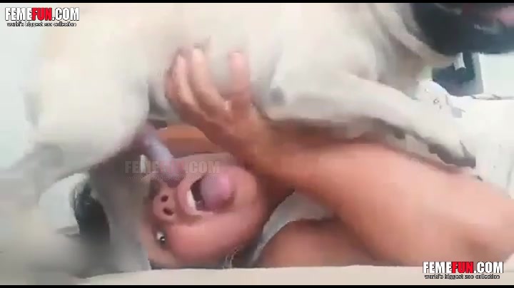 Dog Cock Jerked Off