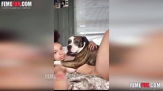 Sex webcam dog 