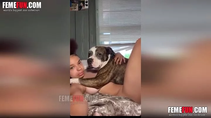 Hot Ebony Girl Fucks Her Dog After School On Webcam XXX FemeFun