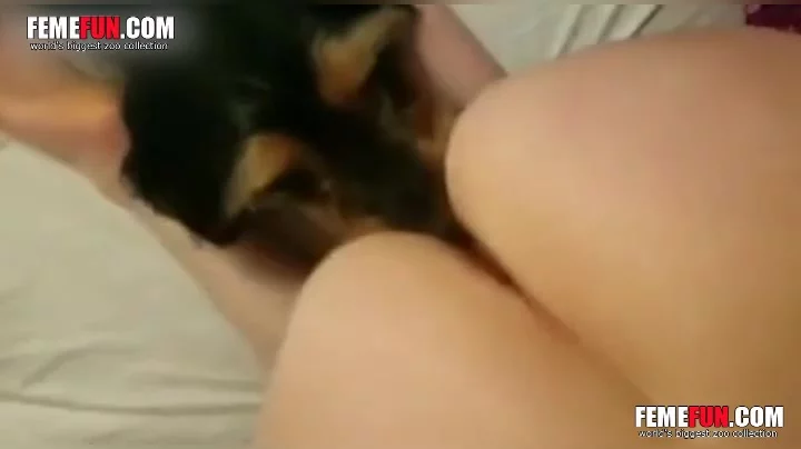 Teen Girl Gives Blowjob While Dog Licks Her Pussy In Dog Sex XXX FemeFun