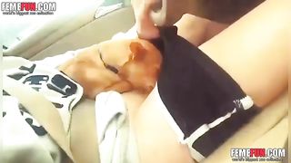 Mom likes to lick teen car Dog Licks Extreme Sex Videos