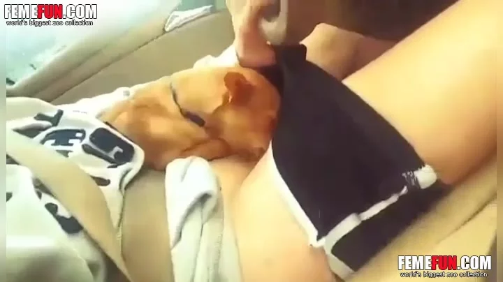 This Teen Loves When Little Doggy Licks Pussy In Her Car XXX FemeFun