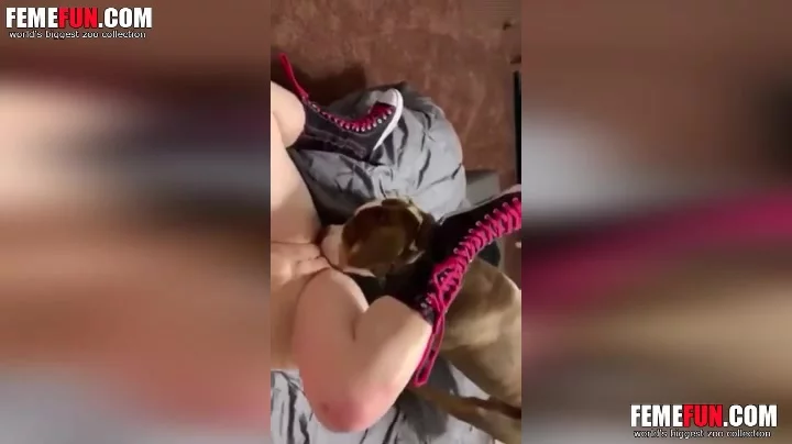 Wife Gets Licked Out By Dog While She Sucking Cock XXX FemeFun