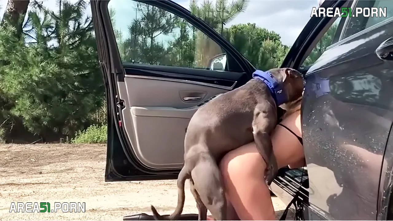 A slave-exhibitionist to get fucked by her dog in the car for money picture