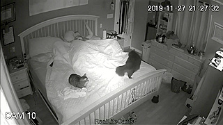 A pair from the USA, sex & masturbation