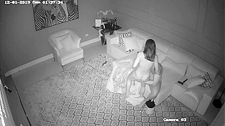 Juvenile Argentina family. Sex.