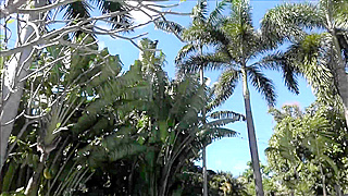 Busty Blonde Babe Gets Fucked Hard by the Pool - Intense Poolside Sex Session