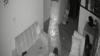 Horny Colombian Couple Caught Fucking on Hidden IP Cam