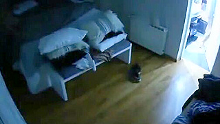 Spy Ipcam Captures Mature British Couple Fucking Hardcore In Secret Hideaway