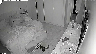Hidden Spy Ipcam Captures Hacked Cam Of Steamy Married Couple's Wild Night Sex