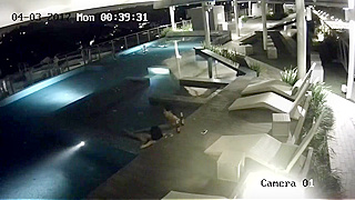 Caught On Cctv - Naughty Couple Caught Fucking By The Pool In Broad Daylight