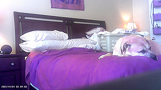 Wife Was Still Dripping When He Asked “Why Are You So Red?” — She Just Smiled