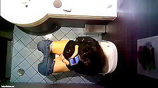 Hidden Cam Captures Bathroom Masturbation Above Toilet