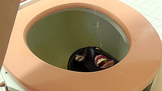 Submissive Slut Devoured in Filthy Toilet Slave Domination Session